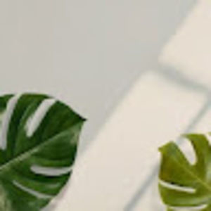 Meet your Posher, Aída